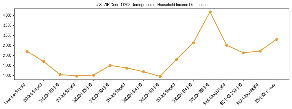 Horizontal bar chart showing household income distribution in US ZIP Code 11203.