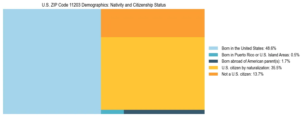 Treemap showing the population distribution by nativity and citizenship status in US ZIP Code 11203 based on U.S. Census data.