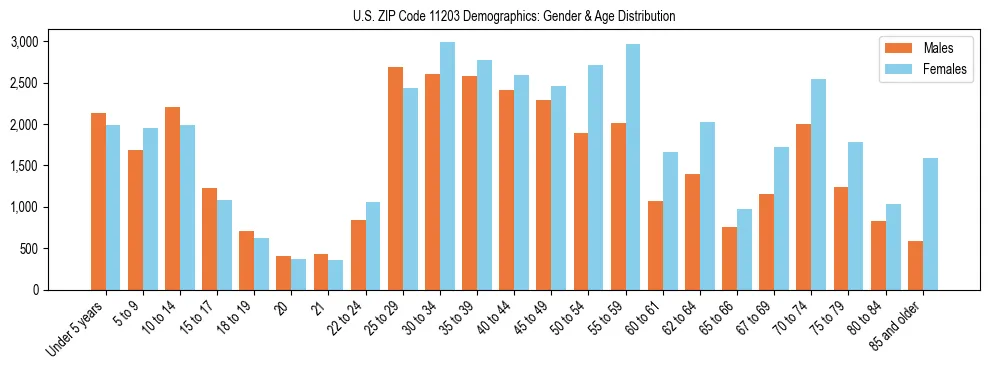 Bar chart showing the population distribution of US ZIP Code 11203 by age group and gender, based on 2023 ACS data.