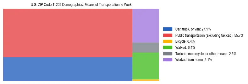 Treemap showing means of transportation to work distribution in US ZIP Code 11203.