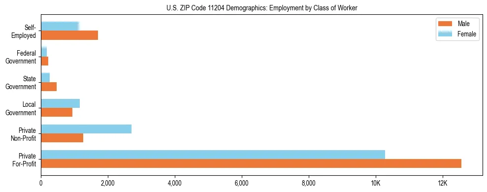 Horizontal bar chart showing employment distribution by class of worker and gender in US ZIP Code 11204, based on 2023 ACS data.