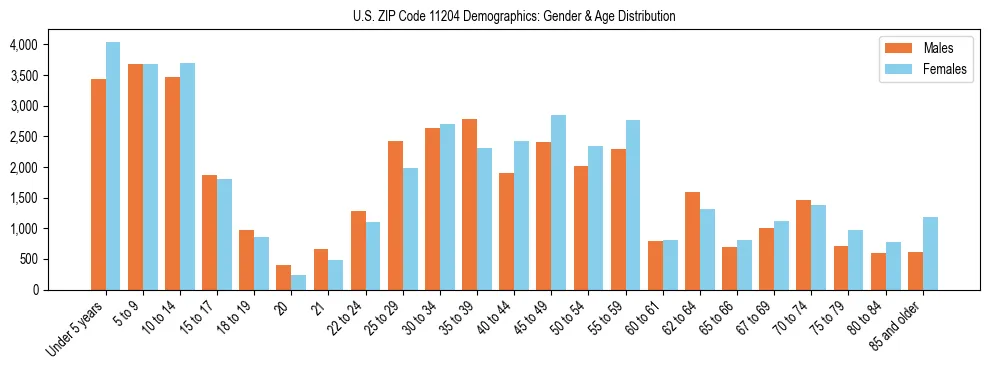 Bar chart showing the population distribution of US ZIP Code 11204 by age group and gender, based on 2023 ACS data.