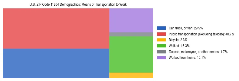 Treemap showing means of transportation to work distribution in US ZIP Code 11204.