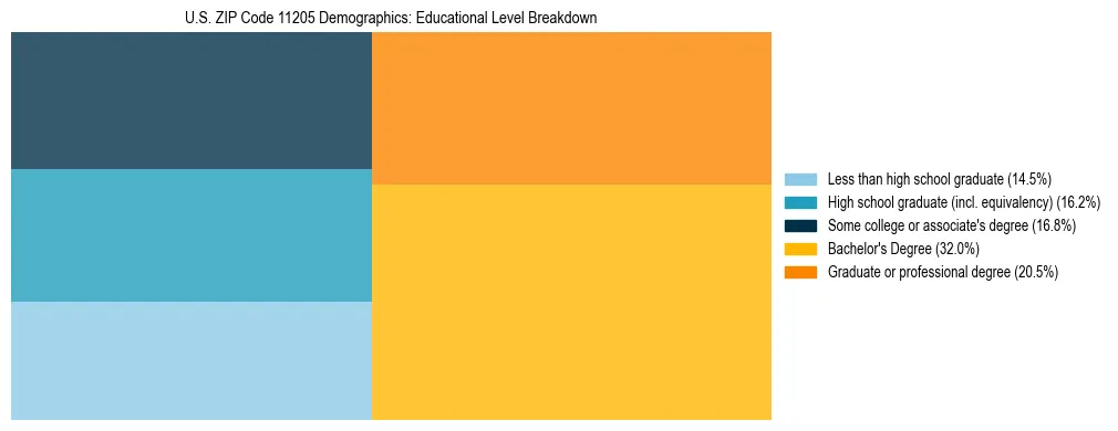 Treemap chart illustrating the educational attainment breakdown for population 25 years and over in US ZIP Code 11205.