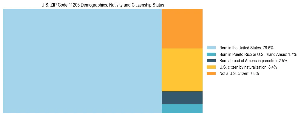 Treemap showing the population distribution by nativity and citizenship status in US ZIP Code 11205 based on U.S. Census data.