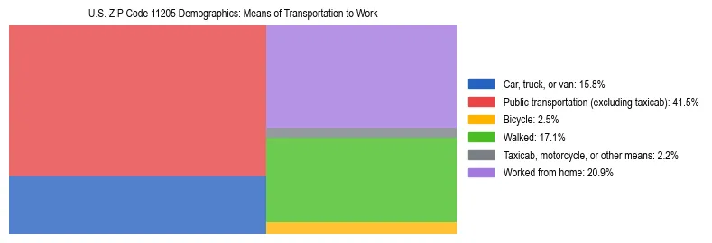 Treemap showing means of transportation to work distribution in US ZIP Code 11205.