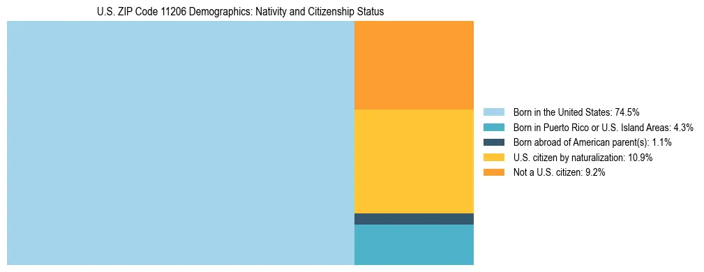 Treemap showing the population distribution by nativity and citizenship status in US ZIP Code 11206 based on U.S. Census data.