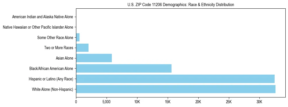 Race and Ethnicity Distribution Chart for US ZIP Code 11206