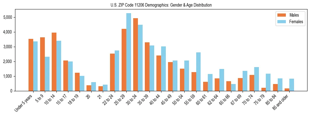 Bar chart showing the population distribution of US ZIP Code 11206 by age group and gender, based on 2023 ACS data.