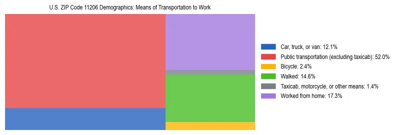 Treemap showing means of transportation to work distribution in US ZIP Code 11206.