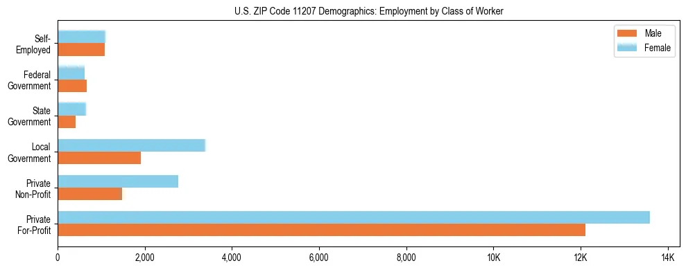 Horizontal bar chart showing employment distribution by class of worker and gender in US ZIP Code 11207, based on 2023 ACS data.