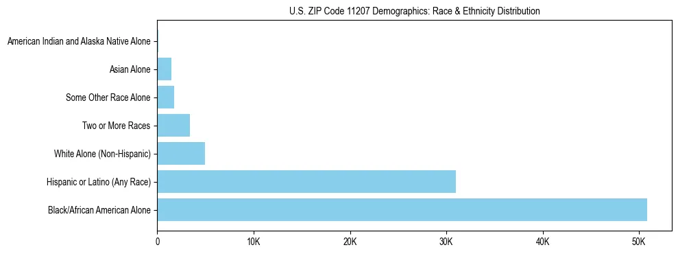 Race and Ethnicity Distribution Chart for US ZIP Code 11207