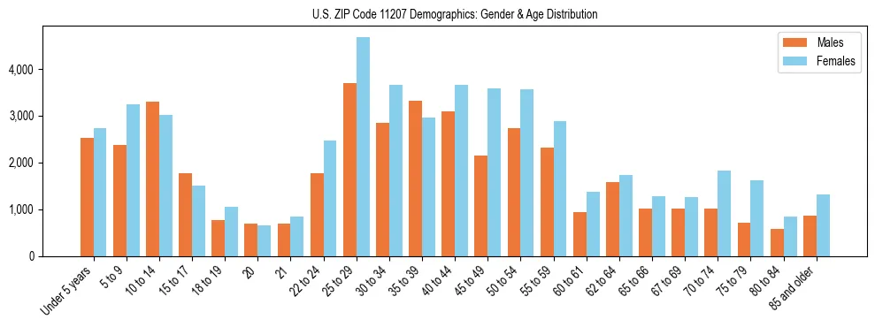 Bar chart showing the population distribution of US ZIP Code 11207 by age group and gender, based on 2023 ACS data.