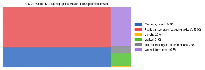 Treemap showing means of transportation to work distribution in US ZIP Code 11207.