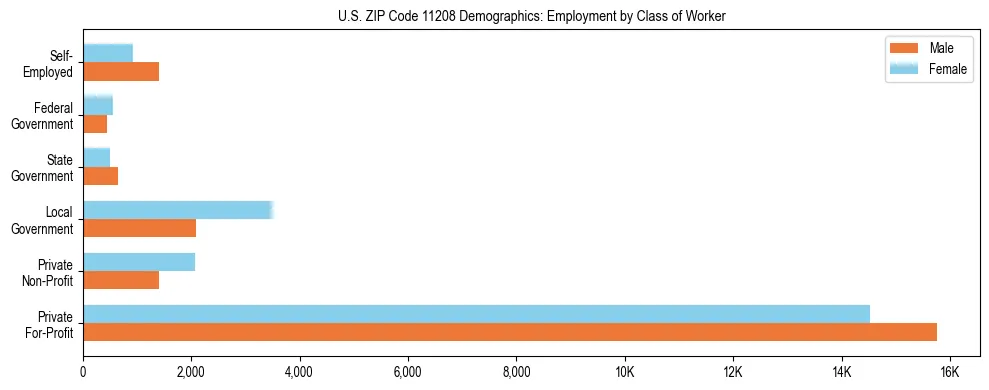 Horizontal bar chart showing employment distribution by class of worker and gender in US ZIP Code 11208, based on 2023 ACS data.