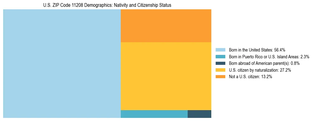 Treemap showing the population distribution by nativity and citizenship status in US ZIP Code 11208 based on U.S. Census data.