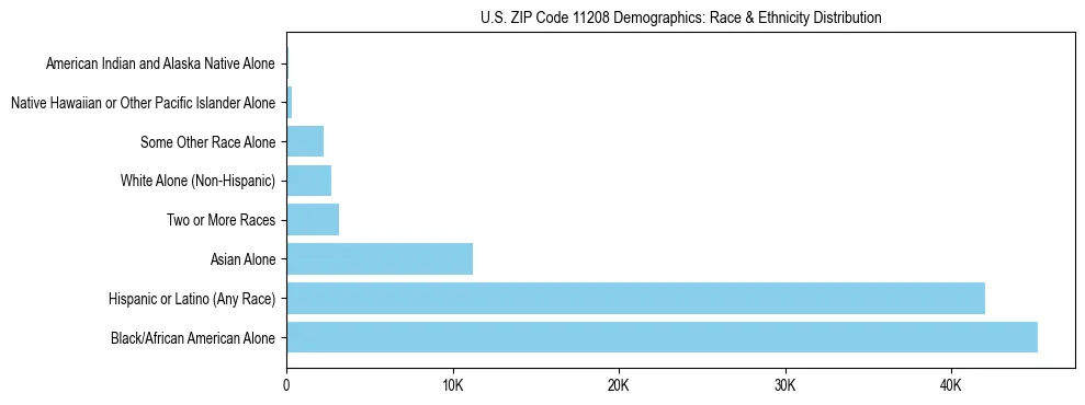 Race and Ethnicity Distribution Chart for US ZIP Code 11208