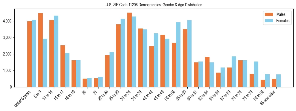 Bar chart showing the population distribution of US ZIP Code 11208 by age group and gender, based on 2023 ACS data.