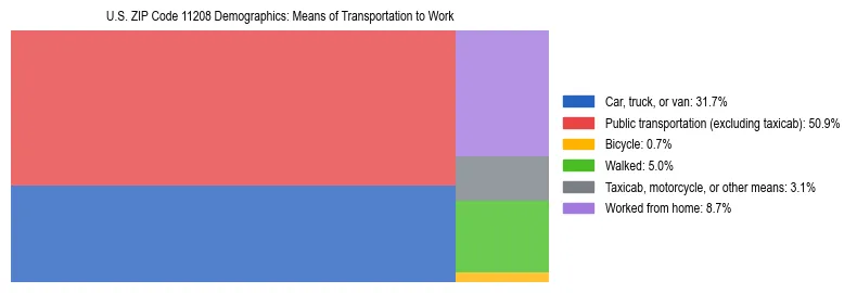 Treemap showing means of transportation to work distribution in US ZIP Code 11208.