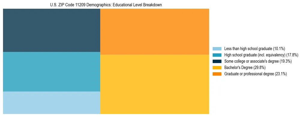 Treemap chart illustrating the educational attainment breakdown for population 25 years and over in US ZIP Code 11209.