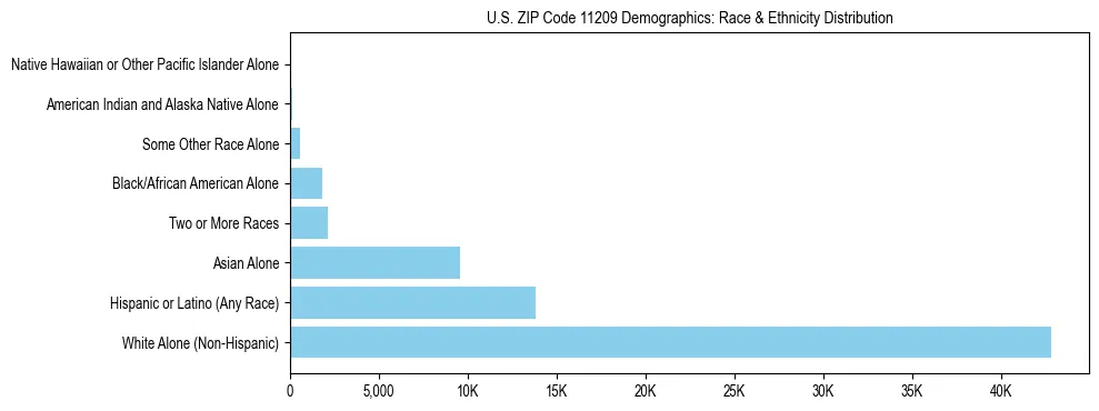 Race and Ethnicity Distribution Chart for US ZIP Code 11209