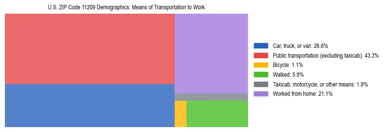 Treemap showing means of transportation to work distribution in US ZIP Code 11209.