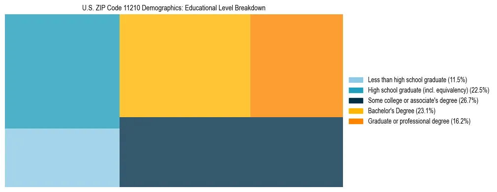 Treemap chart illustrating the educational attainment breakdown for population 25 years and over in US ZIP Code 11210.