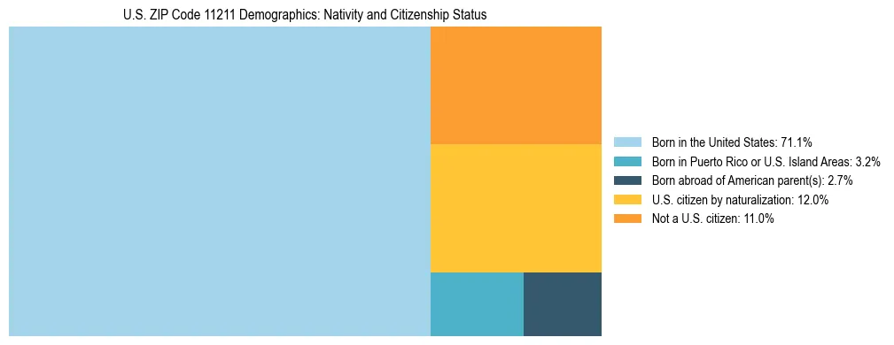 Treemap showing the population distribution by nativity and citizenship status in US ZIP Code 11211 based on U.S. Census data.