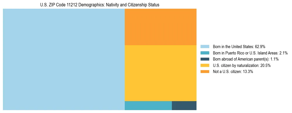 Treemap showing the population distribution by nativity and citizenship status in US ZIP Code 11212 based on U.S. Census data.