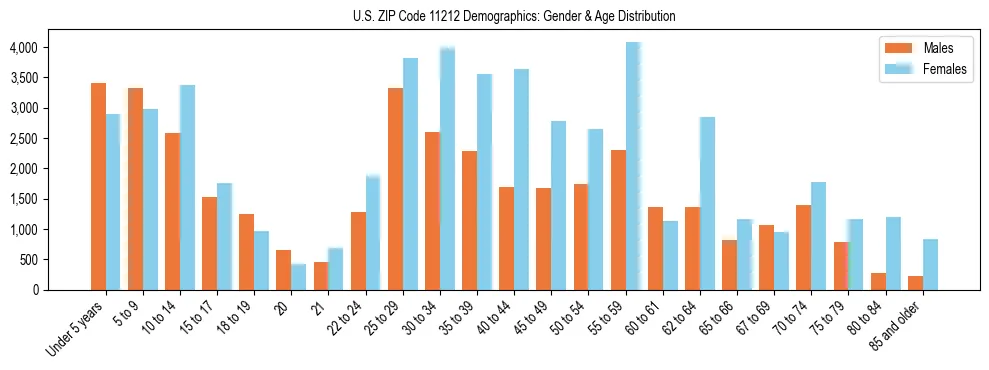 Bar chart showing the population distribution of US ZIP Code 11212 by age group and gender, based on 2023 ACS data.