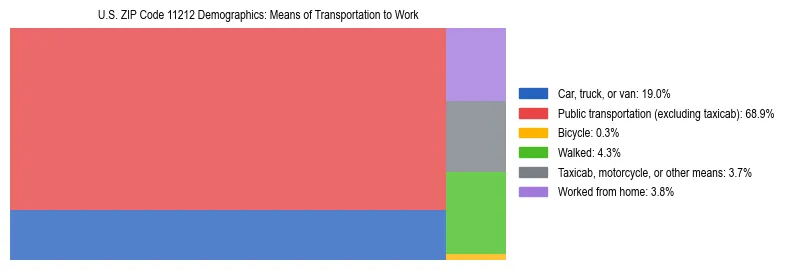 Treemap showing means of transportation to work distribution in US ZIP Code 11212.