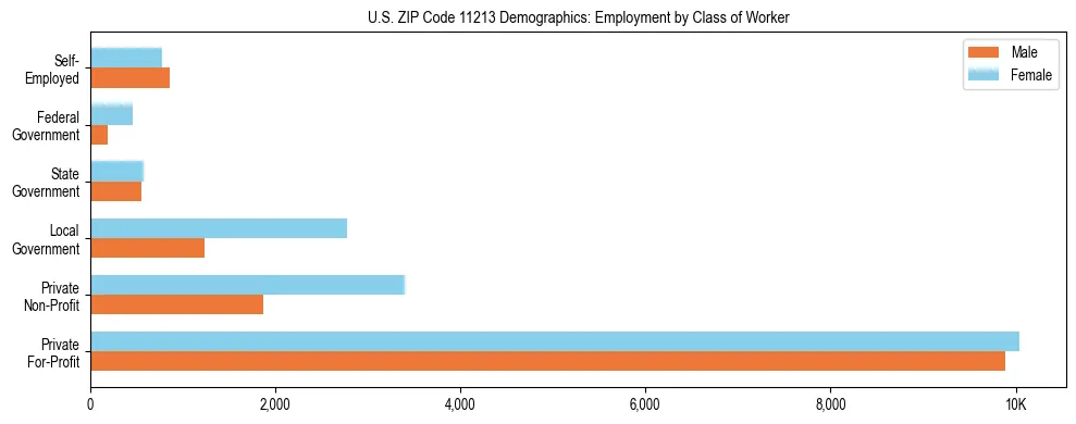 Horizontal bar chart showing employment distribution by class of worker and gender in US ZIP Code 11213, based on 2023 ACS data.