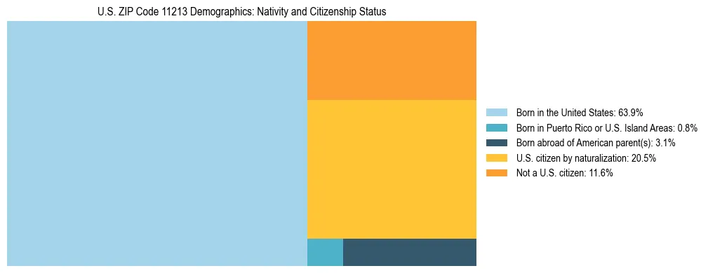Treemap showing the population distribution by nativity and citizenship status in US ZIP Code 11213 based on U.S. Census data.
