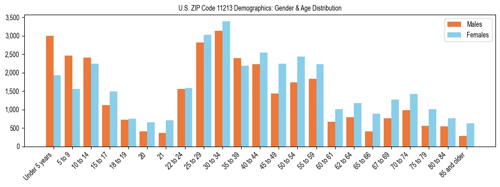 Bar chart showing the population distribution of US ZIP Code 11213 by age group and gender, based on 2023 ACS data.