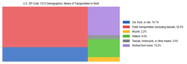 Treemap showing means of transportation to work distribution in US ZIP Code 11213.