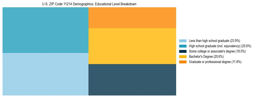 Treemap chart illustrating the educational attainment breakdown for population 25 years and over in US ZIP Code 11214.