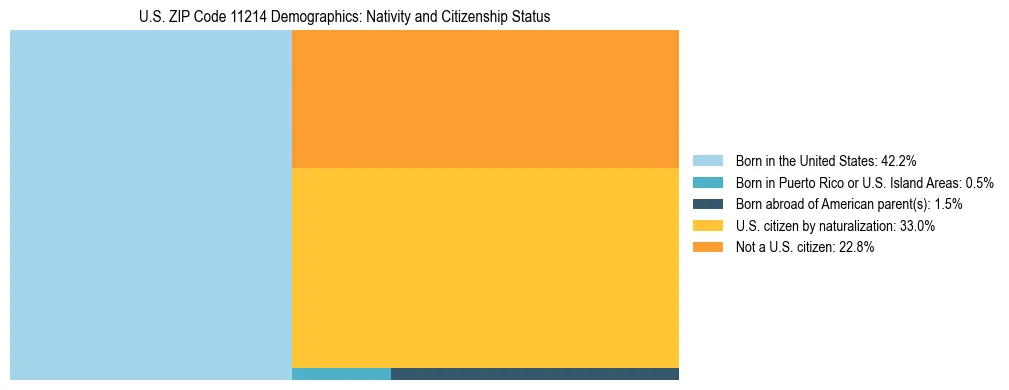 Treemap showing the population distribution by nativity and citizenship status in US ZIP Code 11214 based on U.S. Census data.