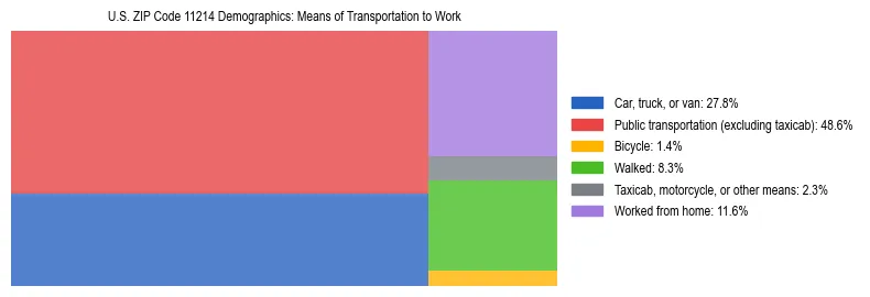 Treemap showing means of transportation to work distribution in US ZIP Code 11214.