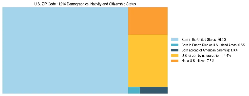 Treemap showing the population distribution by nativity and citizenship status in US ZIP Code 11216 based on U.S. Census data.