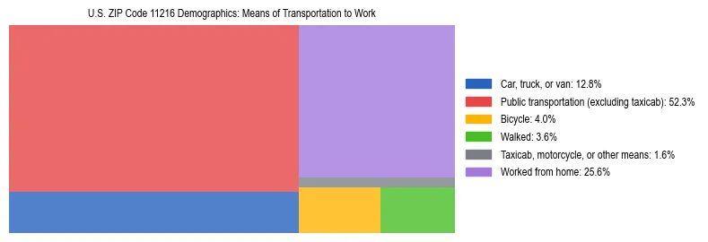 Treemap showing means of transportation to work distribution in US ZIP Code 11216.