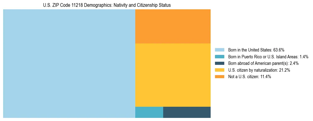 Treemap showing the population distribution by nativity and citizenship status in US ZIP Code 11218 based on U.S. Census data.