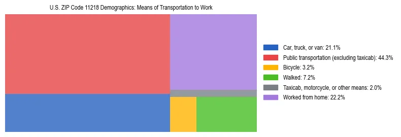 Treemap showing means of transportation to work distribution in US ZIP Code 11218.