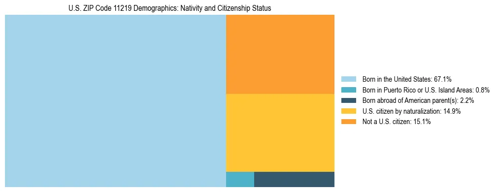 Treemap showing the population distribution by nativity and citizenship status in US ZIP Code 11219 based on U.S. Census data.