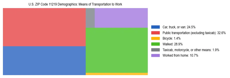 Treemap showing means of transportation to work distribution in US ZIP Code 11219.