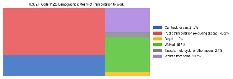 Treemap showing means of transportation to work distribution in US ZIP Code 11220.