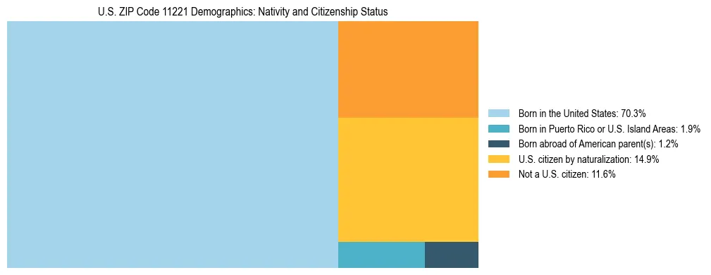 Treemap showing the population distribution by nativity and citizenship status in US ZIP Code 11221 based on U.S. Census data.