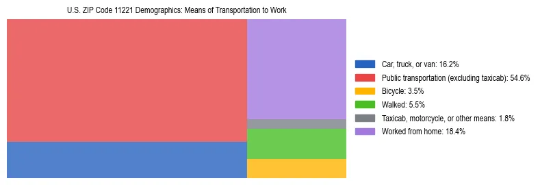 Treemap showing means of transportation to work distribution in US ZIP Code 11221.