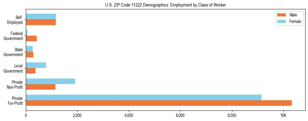 Horizontal bar chart showing employment distribution by class of worker and gender in US ZIP Code 11222, based on 2023 ACS data.