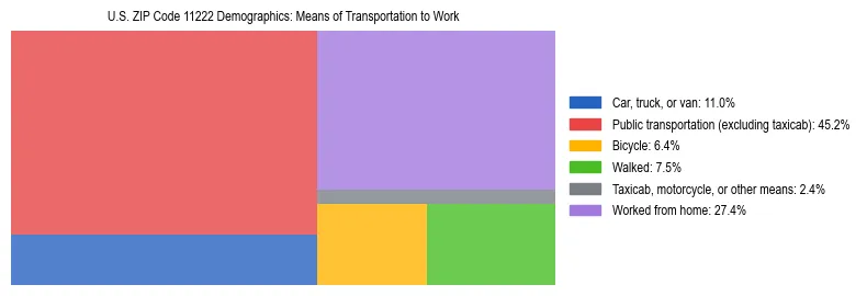 Treemap showing means of transportation to work distribution in US ZIP Code 11222.