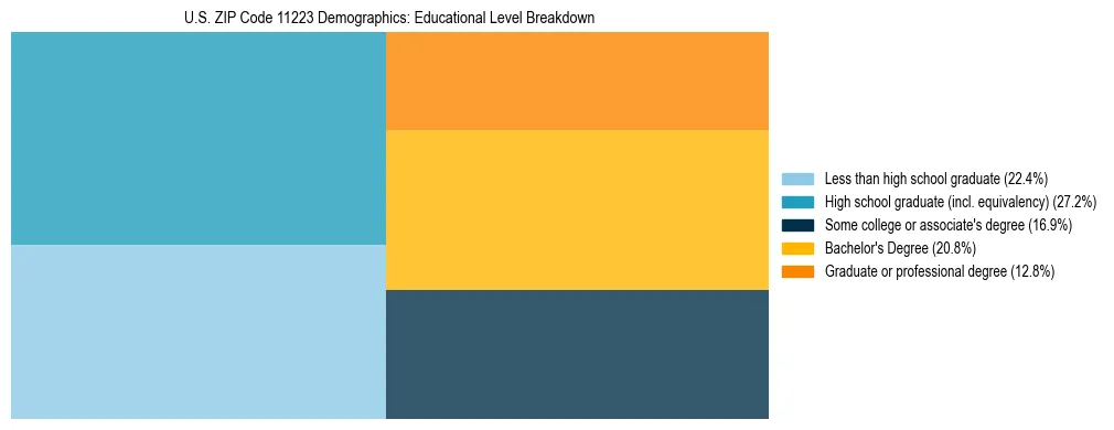 Treemap chart illustrating the educational attainment breakdown for population 25 years and over in US ZIP Code 11223.